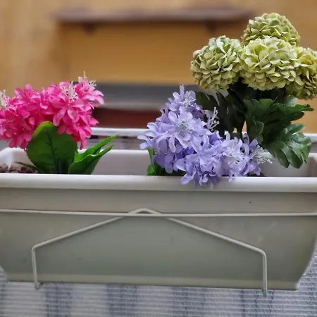 Apartamento Il Centro *